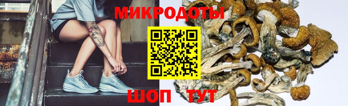 Галлюциногенные грибы Magic Shrooms  где найти наркотики  Камышлов  Вход с VPN 
